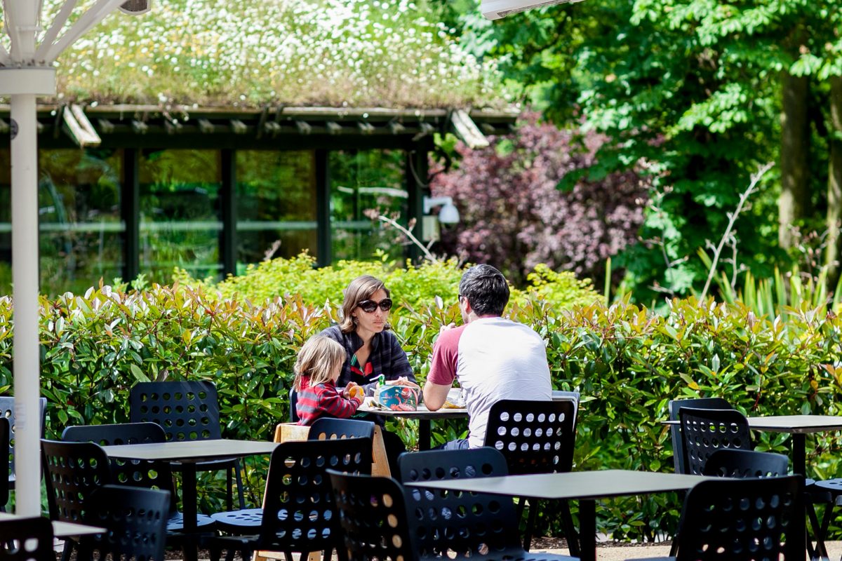 Two adults and a child are sat at a table on a terrace in the sun. eating food. There are hedges, trees and a green roofed building behind them.