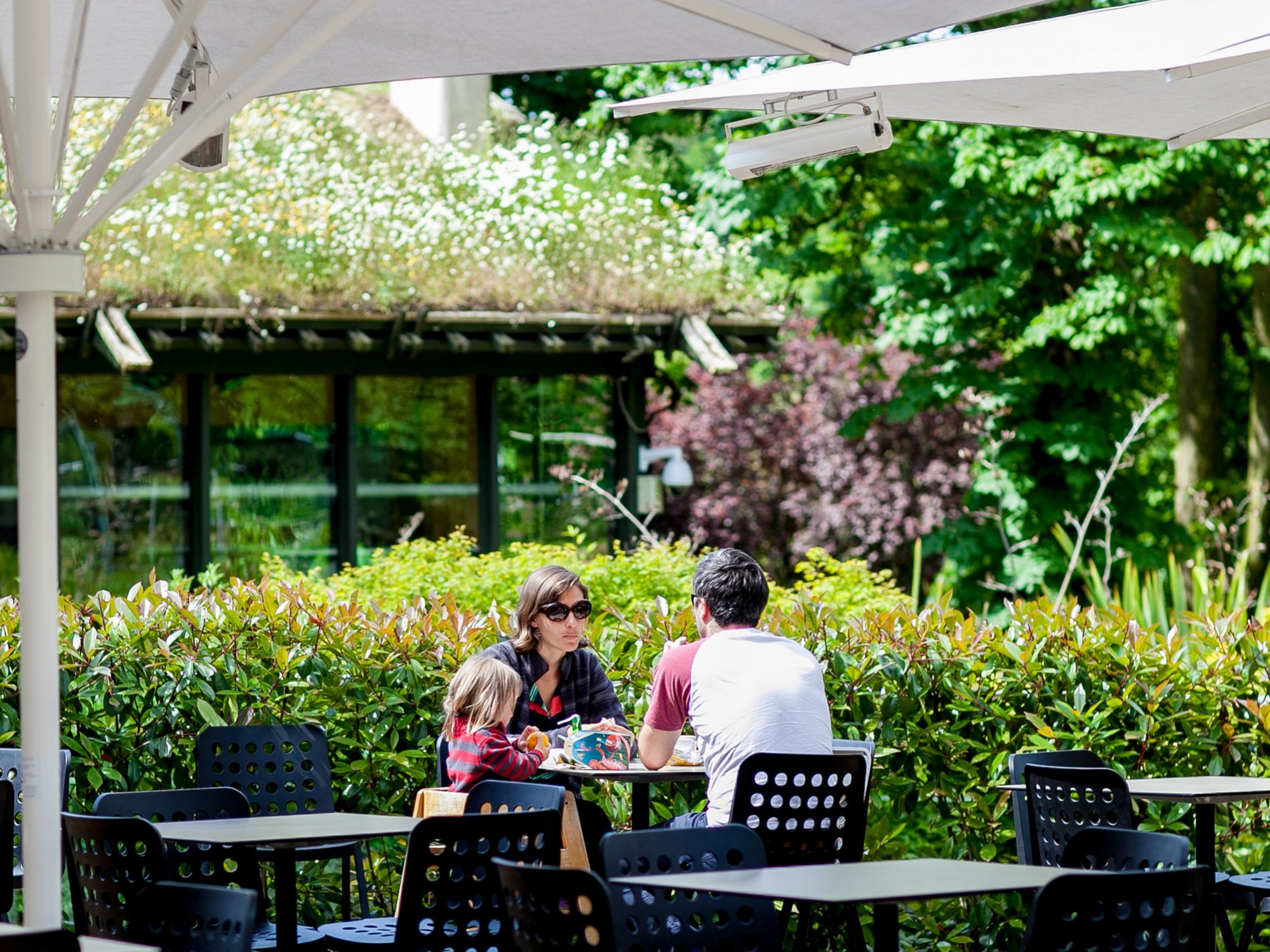 Two adults and a child are sat at a table on a terrace in the sun. eating food. There are hedges, trees and a green roofed building behind them.