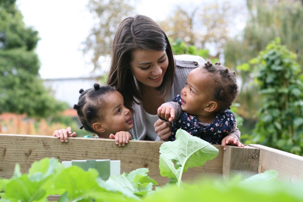 A woman and two small children are looking over a wooden edge of a flower bed towards large green leafy plants, in a Garden.