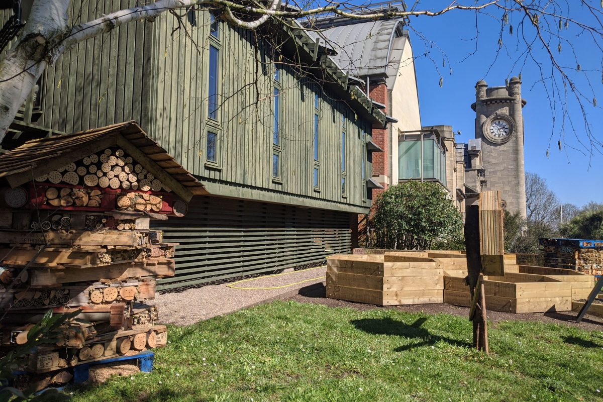 A small lawn in front of the Horniman buildings with wooden short planters and loose wooden houses made of bamboo and palettes to create bee houses