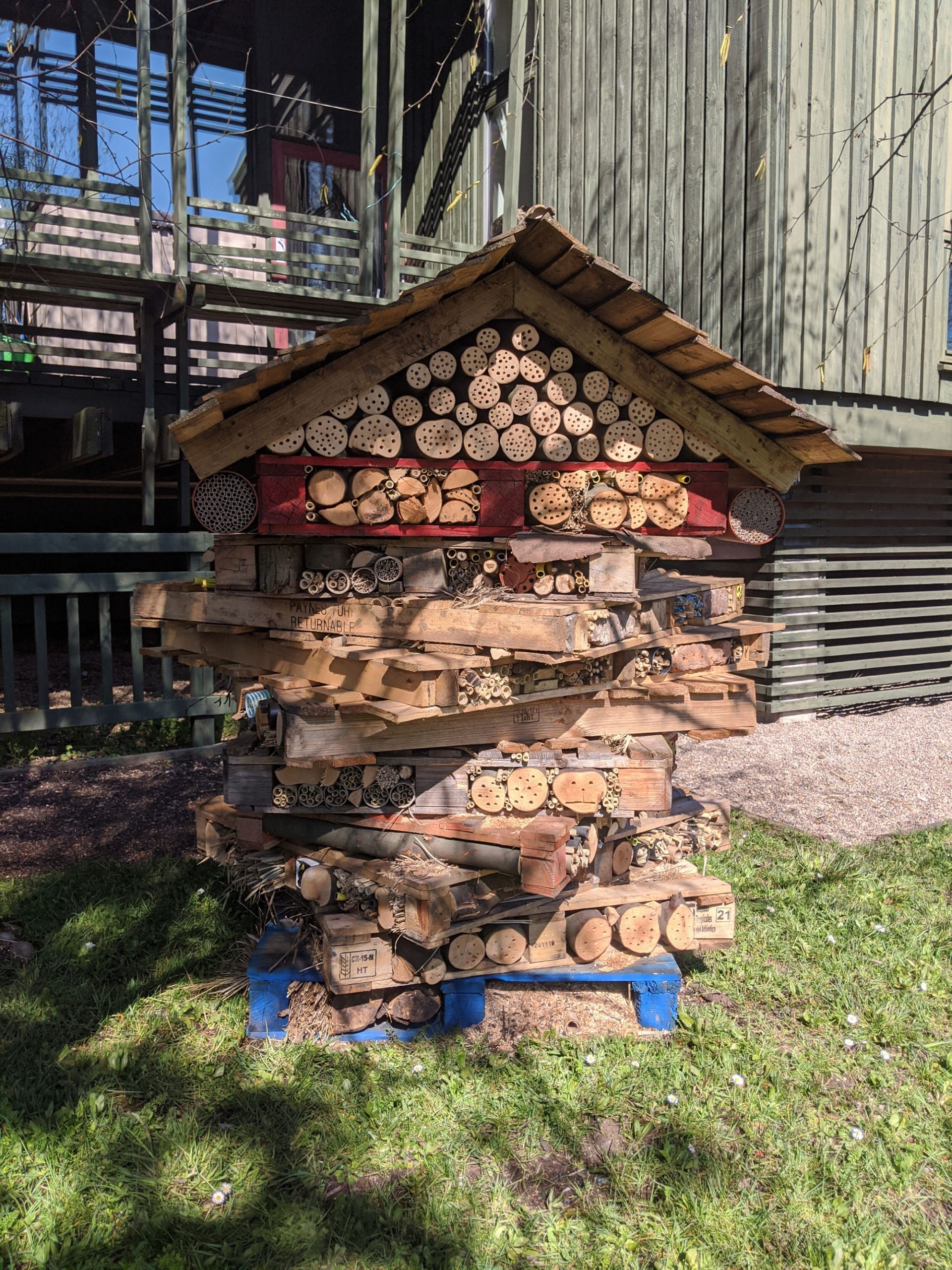 A close up of a bee house - wooden palettes and logs piled together to resemble a house