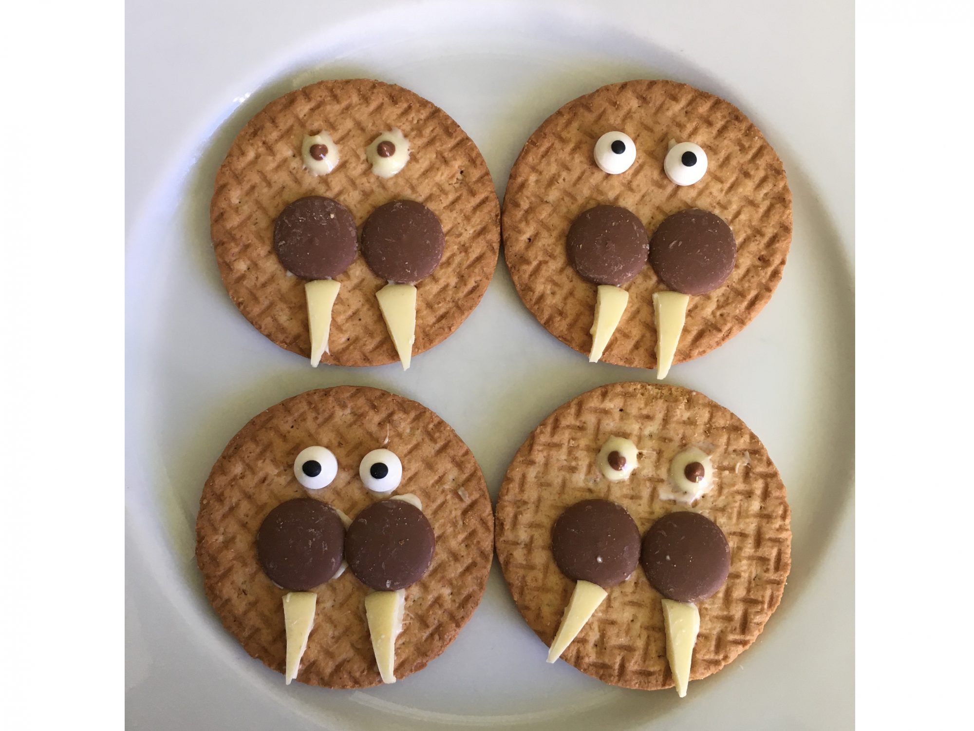 Four digestive biscuits on a white plate