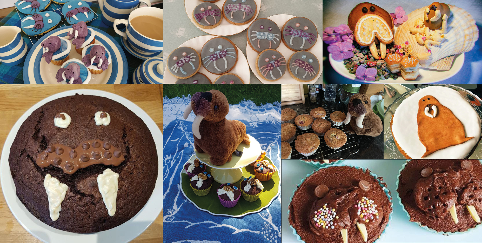 collage of cakes.