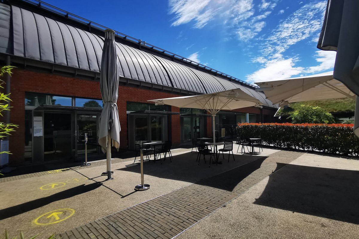 Open terrace with seating and parasols. Clear skies.