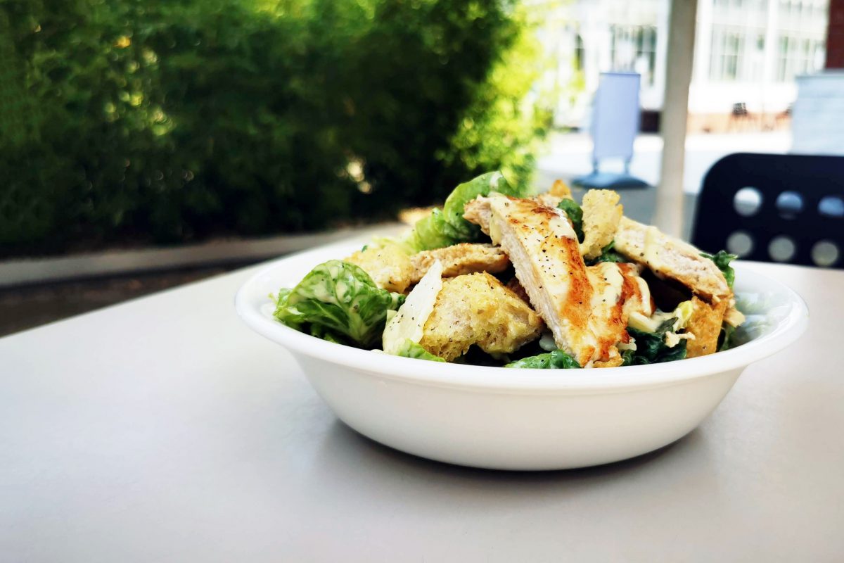 Chicken slices and salad in a bowl on a table with green are in the background.