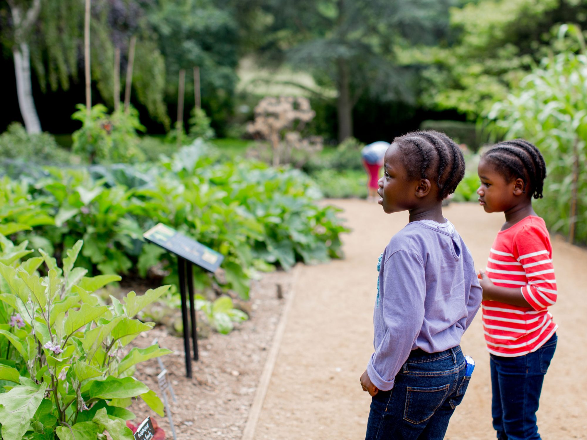 Plan Your Visit - Horniman Museum and Gardens