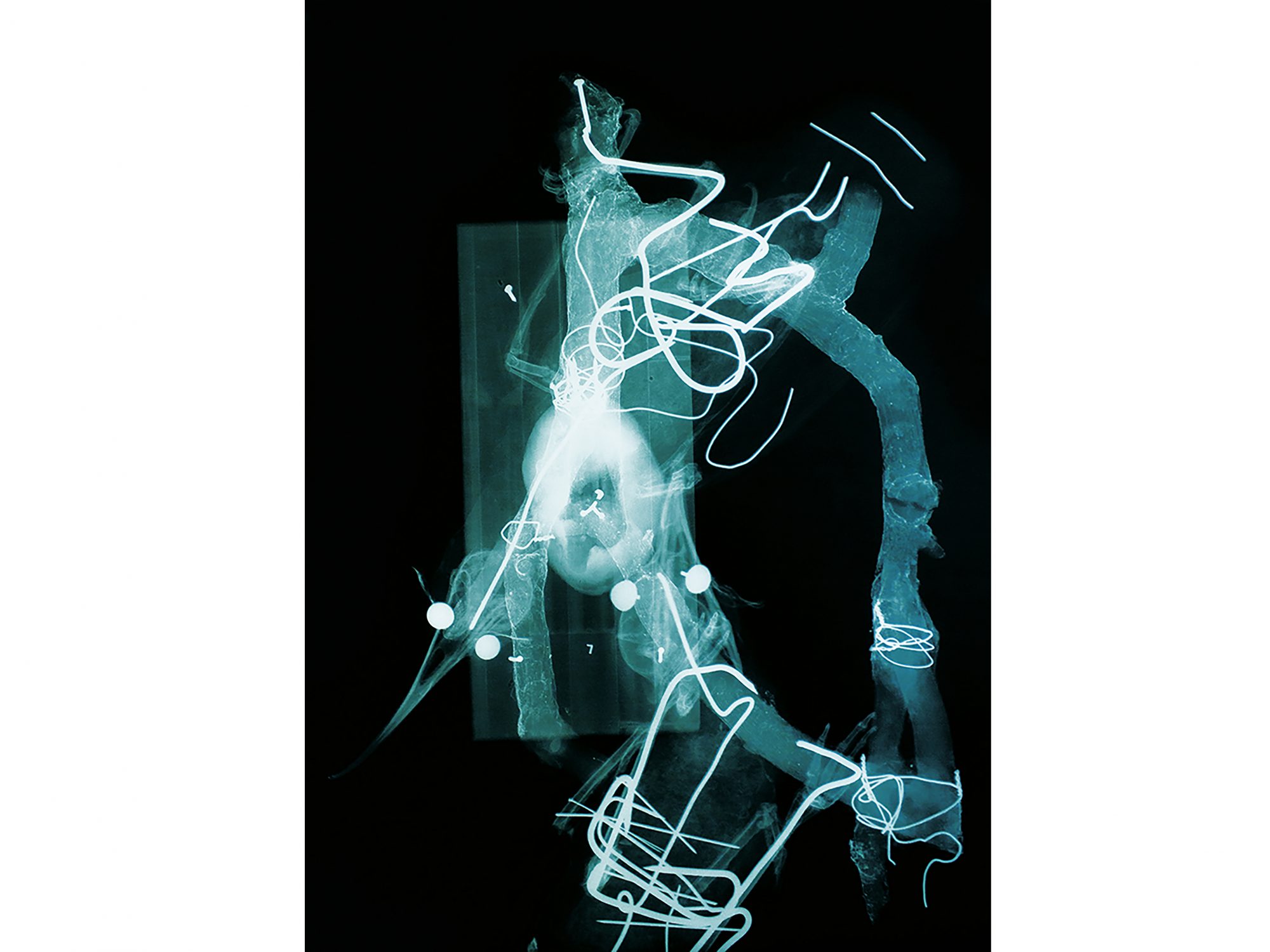 Black and blue hued image, xray of two skeleton birds.