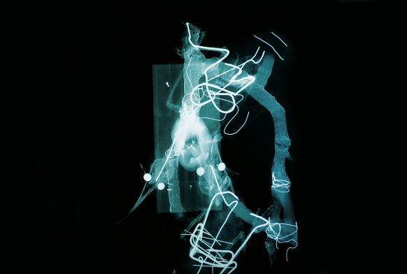 Black and blue hued image, xray of two skeleton birds.
