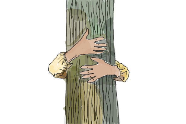Illustration of arms around tree 'hugging tree'