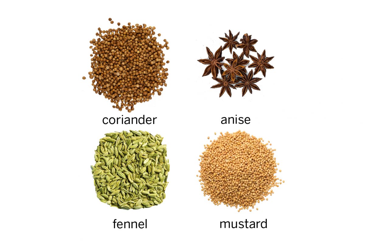 4 piles of seeds, includes coriander, anise, fennel and mustard seeds.