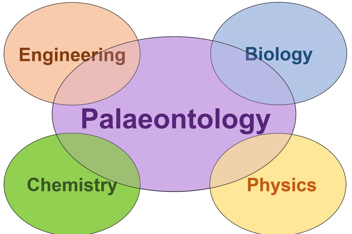 A graphic showing palaeontology intersected by engineering biology chemistry and physics