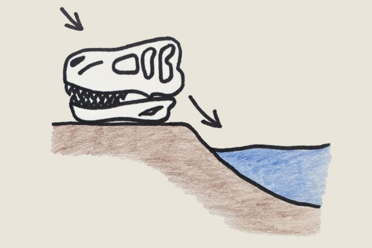 A drawing of a skull near water