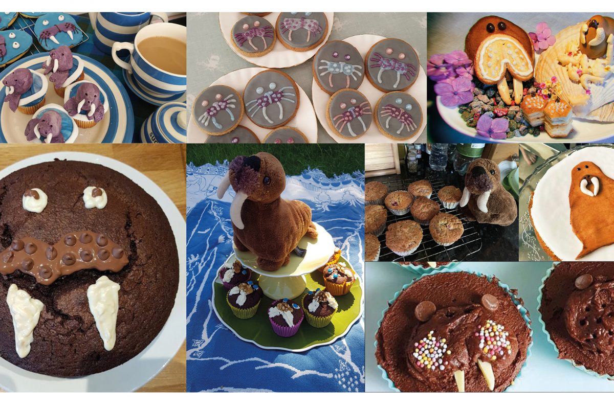 Collage of cakes