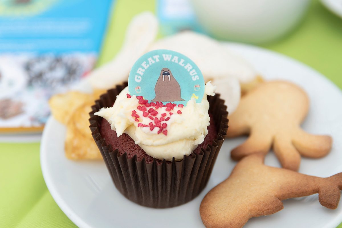 Cupcake and biscuits at a tea party