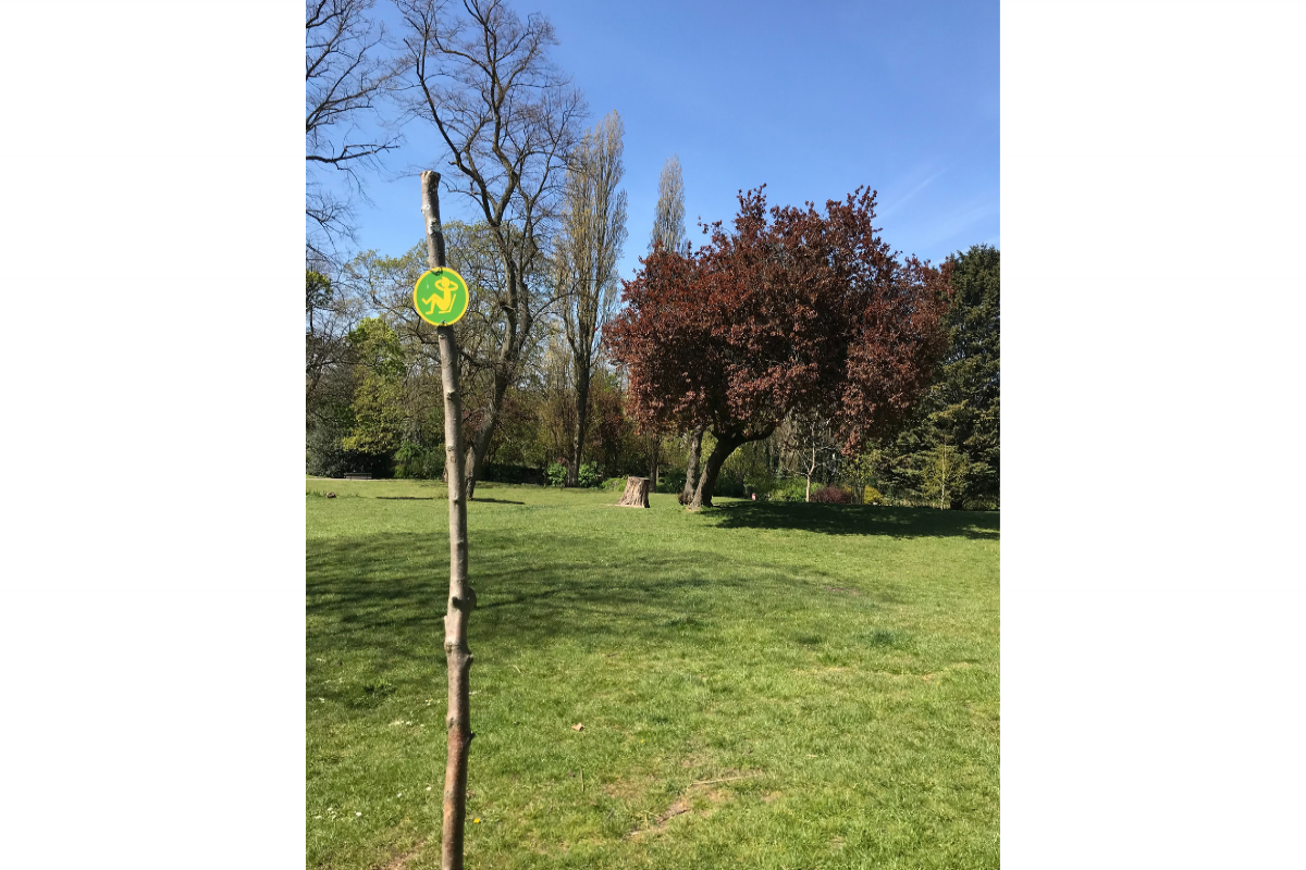Image is of a quiet spot sign in the Horniman gardens attached to a tree