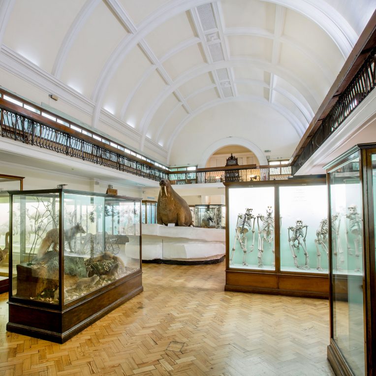 palanquin - Horniman Museum and Gardens