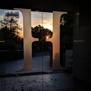 The Horniman doors at sunset