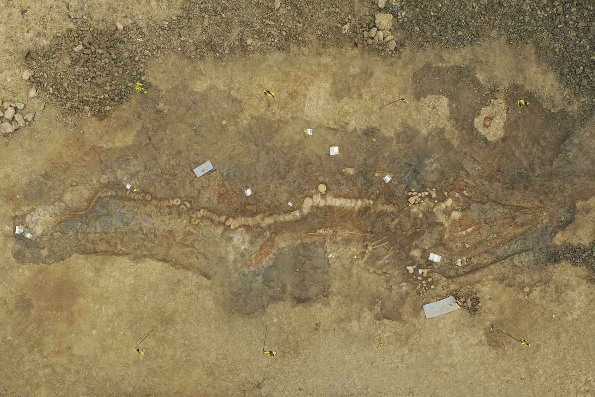 The fossilised skeleton seen from the air