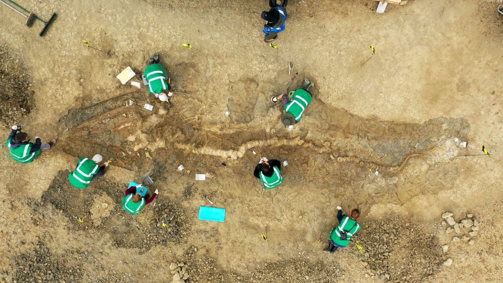 The excavation as seen from above