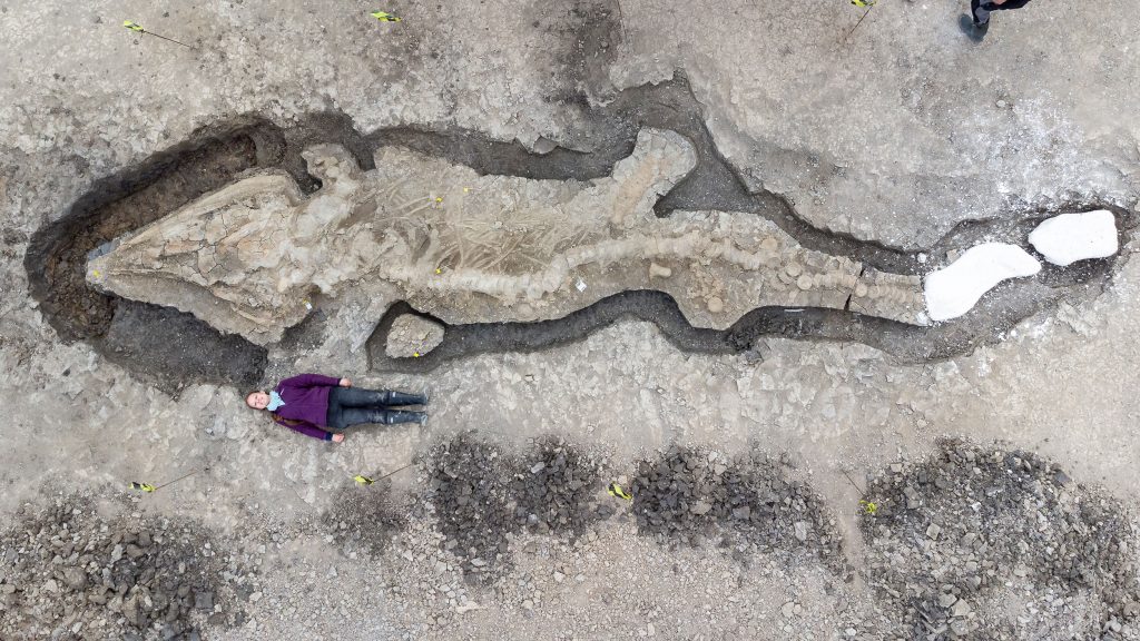 Emma lying next to a huge fossil skeleton