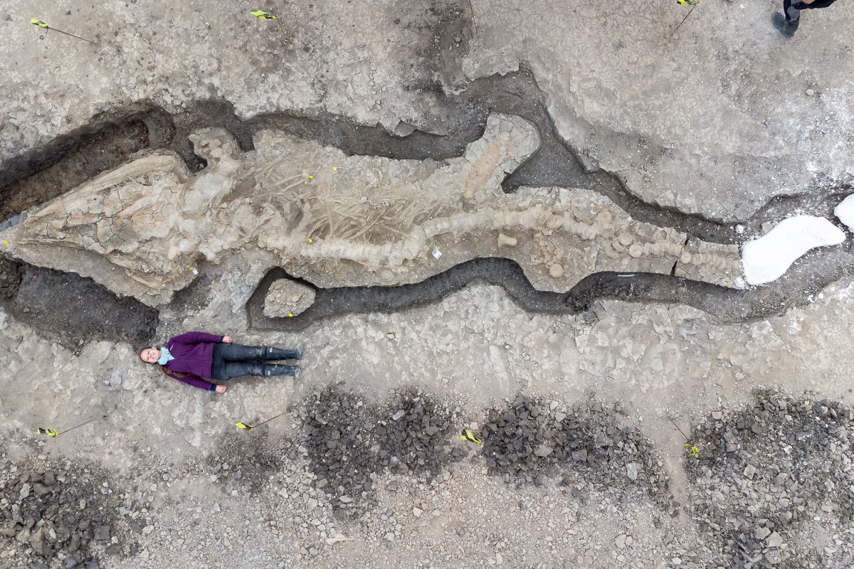 Emma lying next to a huge fossil skeleton