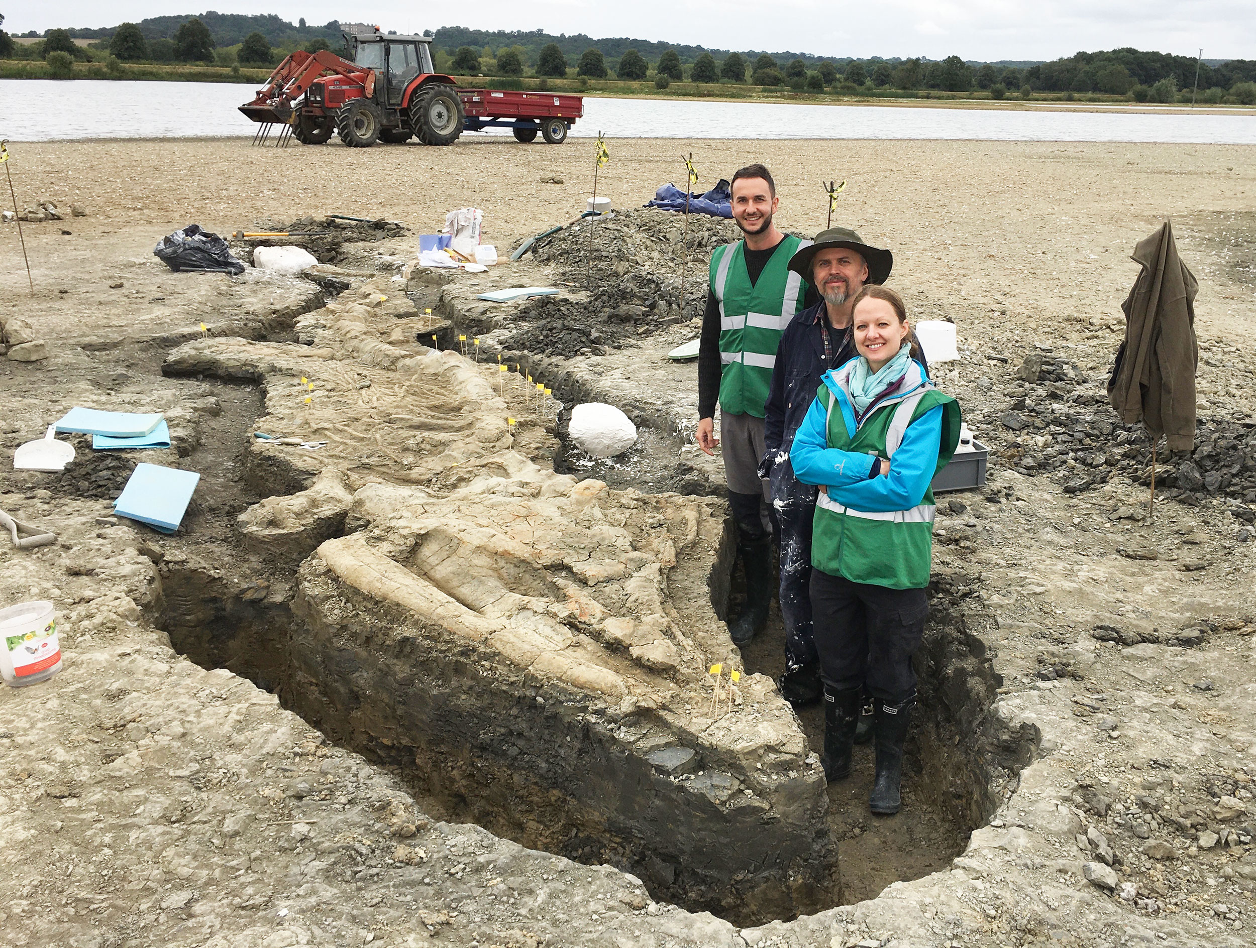 All about ichthyosaurs and the Rutland discovery - Horniman Museum and  Gardens