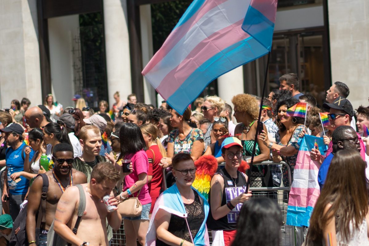 A Horniman Transgender Flag - Horniman Museum and Gardens