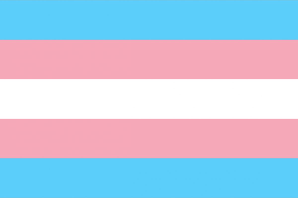 The transgender pride flag