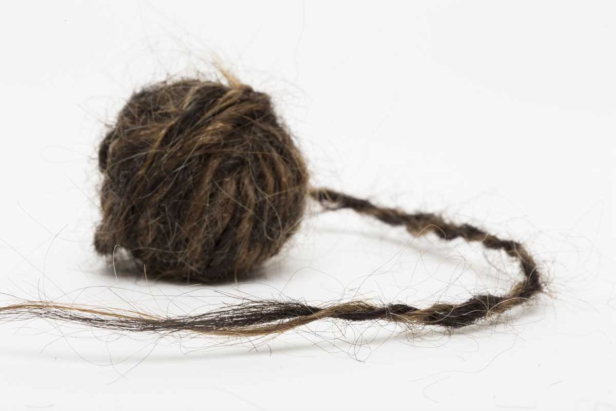 Ball of hair