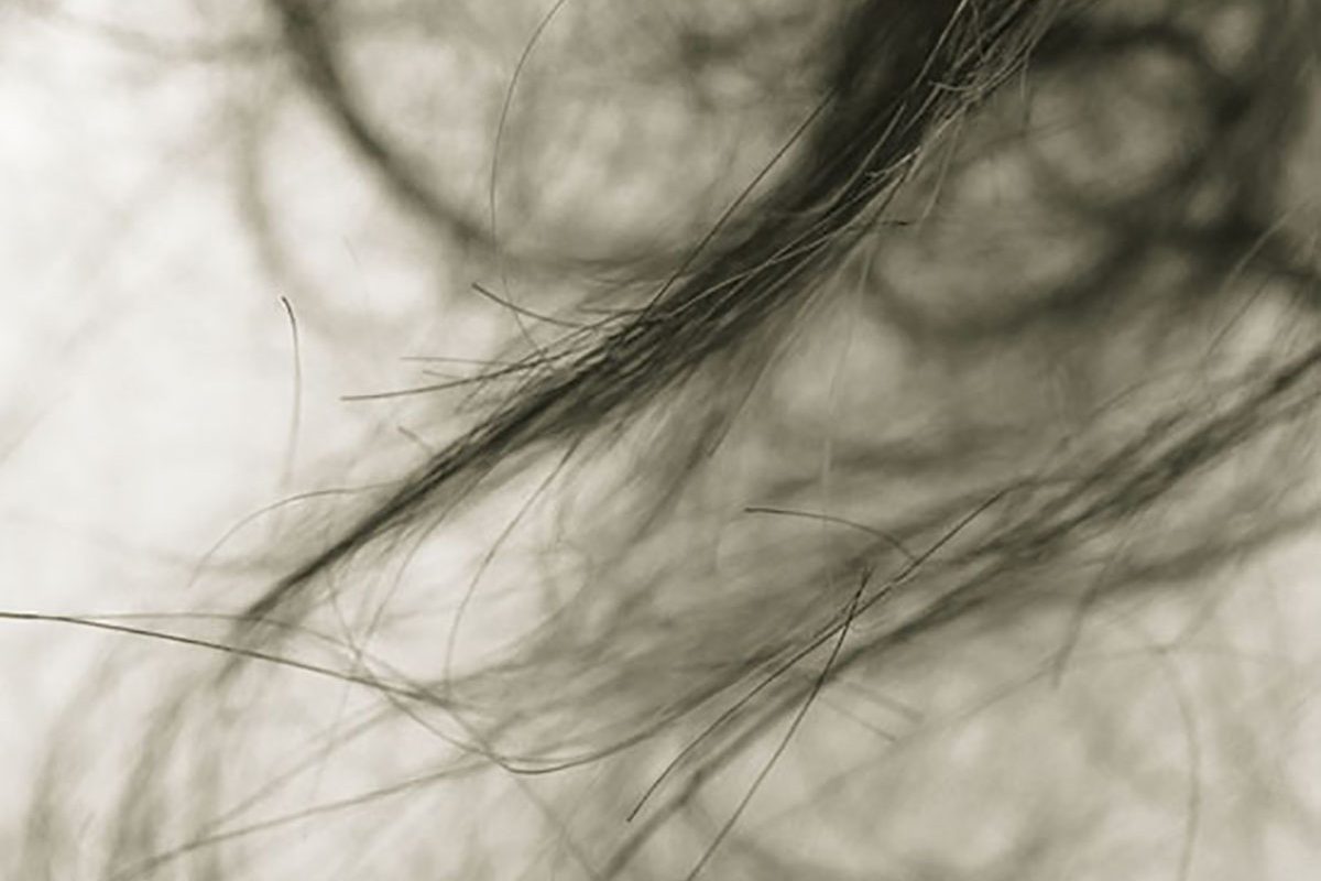 Close up photo of a pile of hair