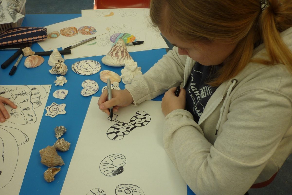 Child draws objects from the Horniman