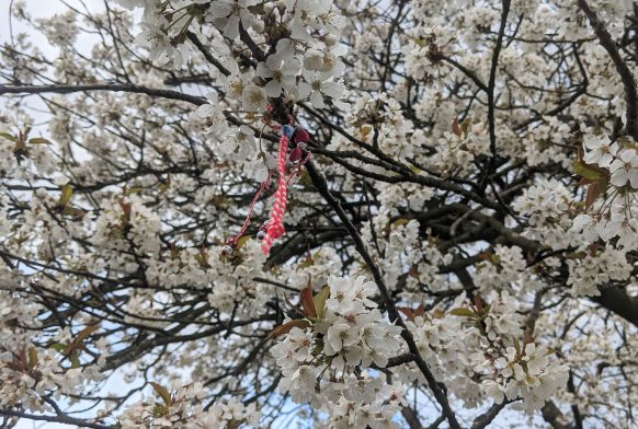 Baba Marta and Martenitsa