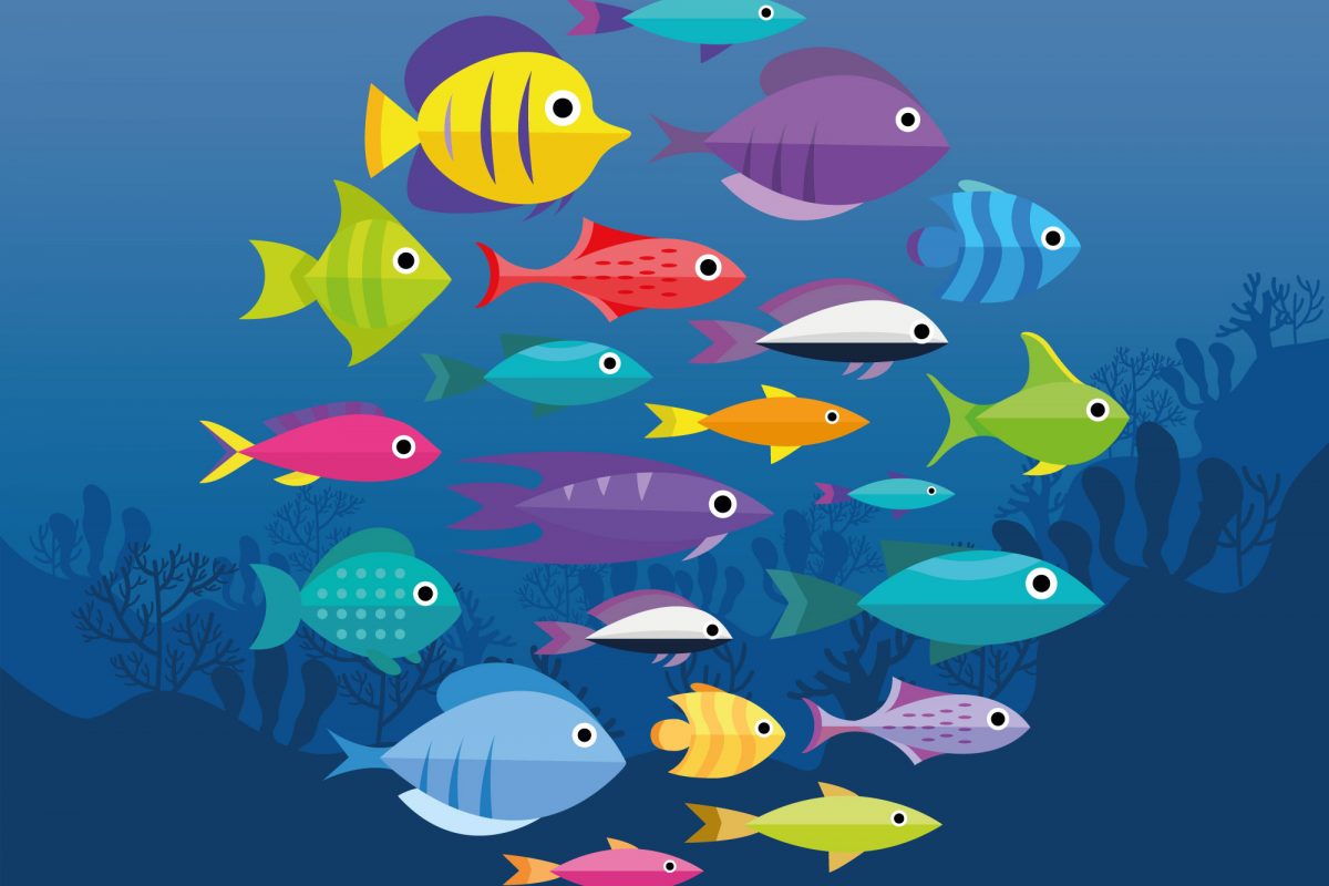 Drawing of colourful fish