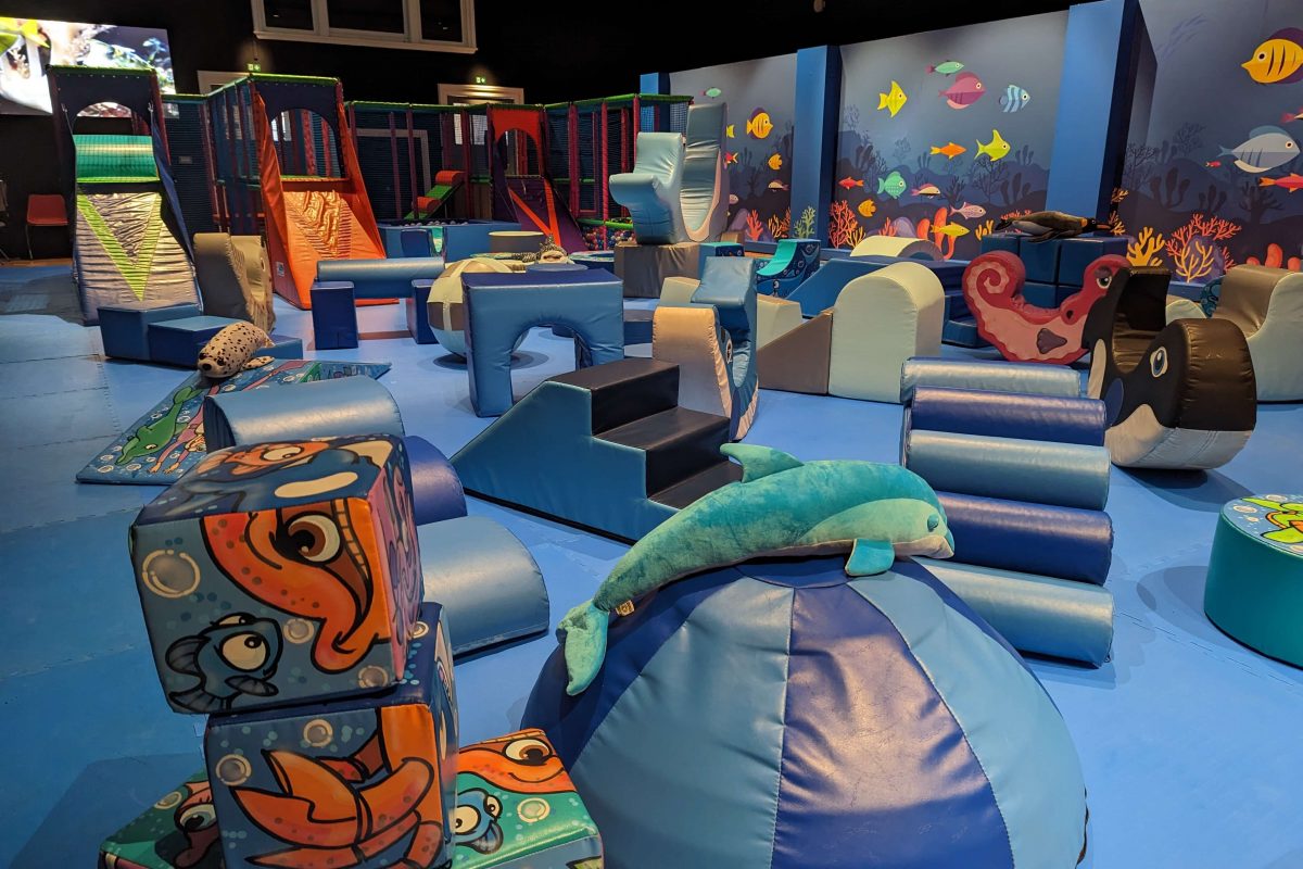 Inside Under the Sea Soft Play, with fish shaped blocks and colourful shapes