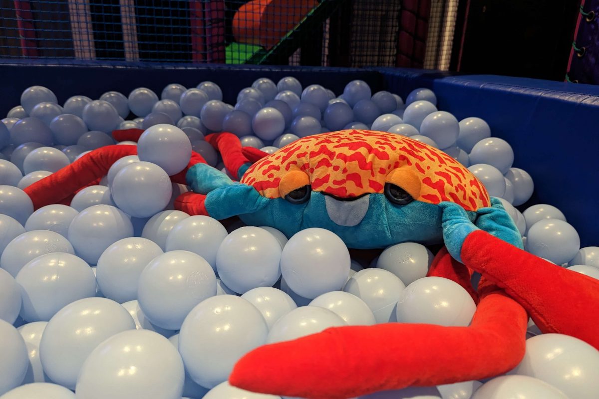 Large crab toy in ball pool