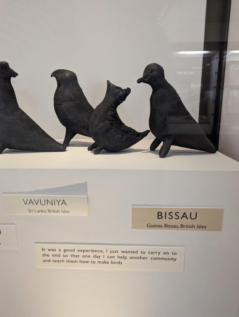 Close up of birds in Flock Project display with labels