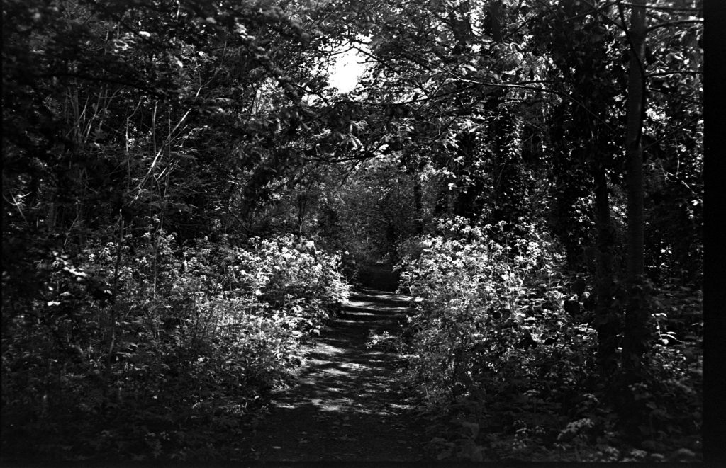 Black and white photograph of the Nature Trail