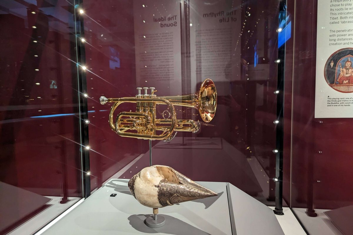 Display case featuring a cornet and a conch