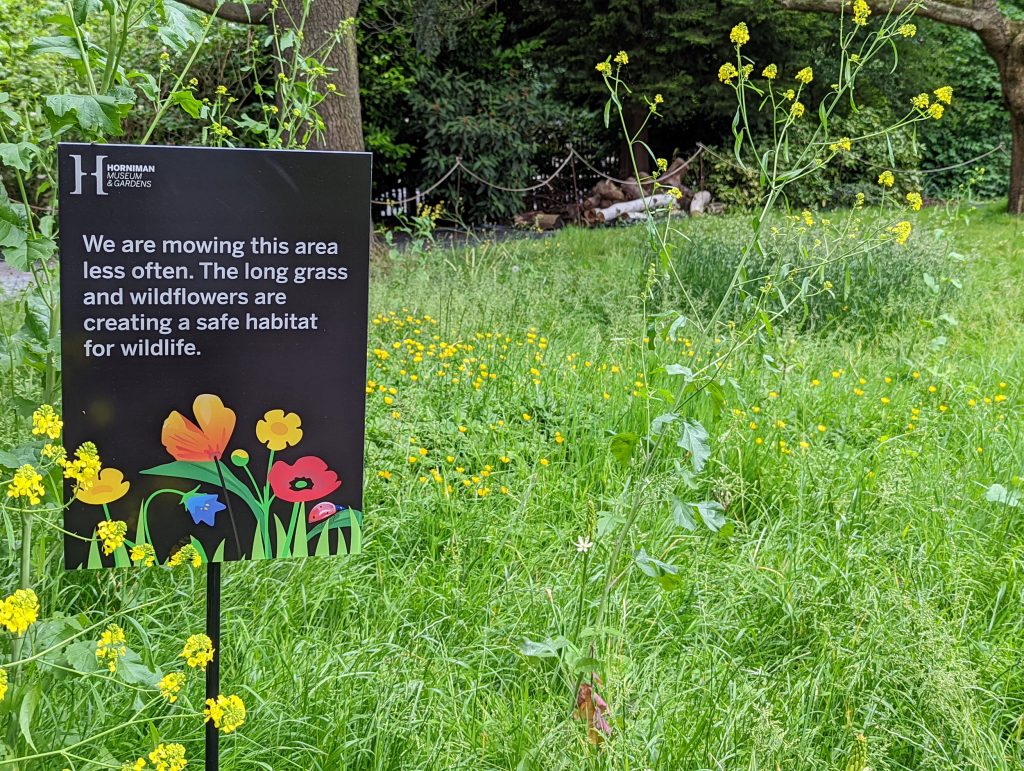 A sign in front of long grass reading, we are mowing this area less often. The long grass and wildflowers are creating a safe habitat for wildlife