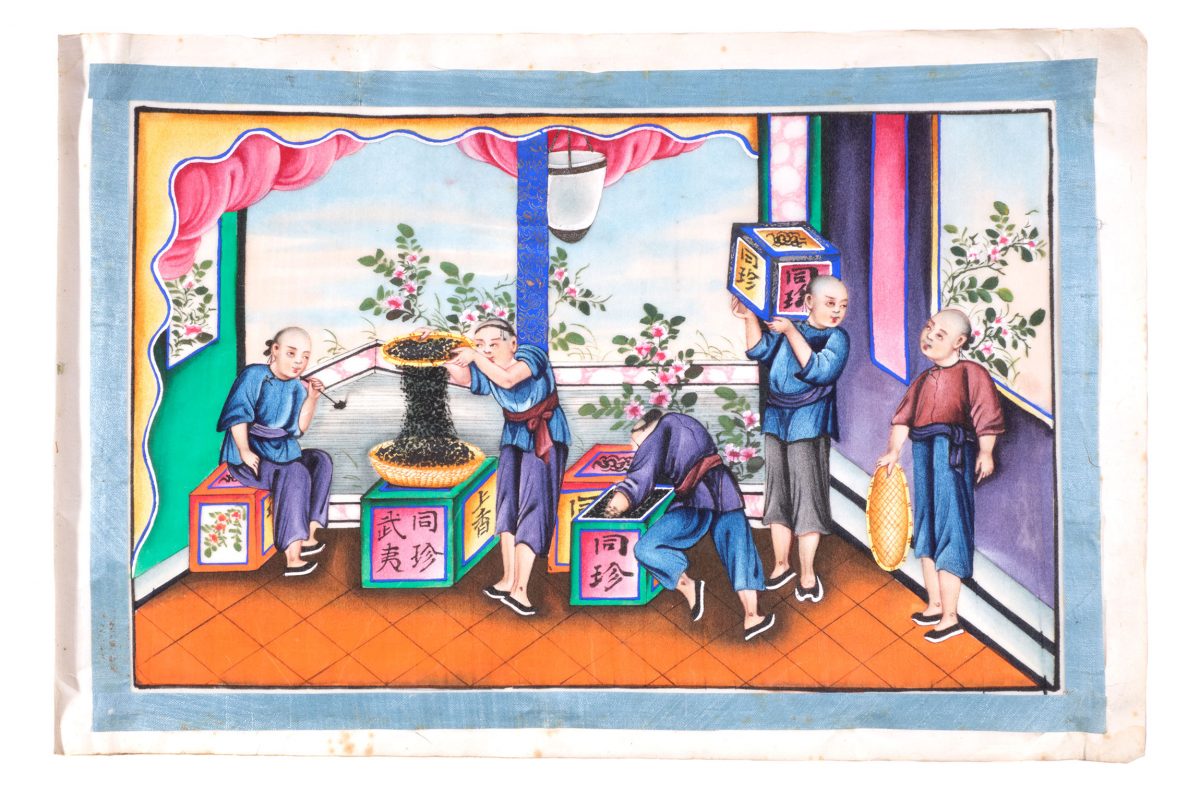 Watercolour drawing of Chinese people pouring dried tea leaves into boxes