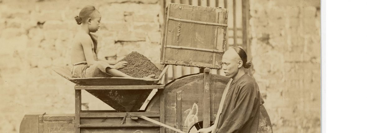 Archive photo of Chinese tea workers operating a tea processing machine