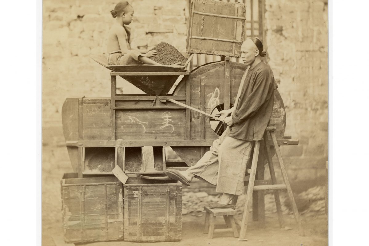 Archive photo of Chinese tea workers operating a tea processing machine