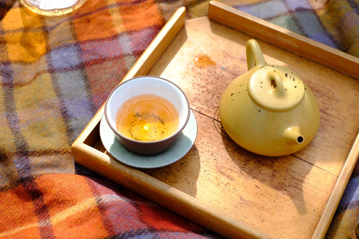 A teapot and a cup of tea sit on a tray on a blanket