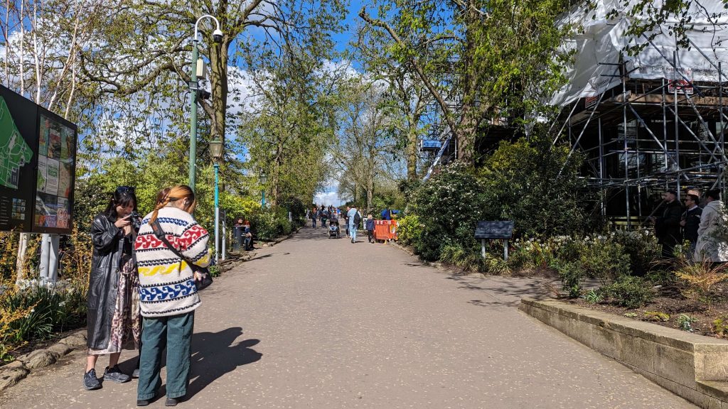A wide path surrounded by trees, and sloping upwards.