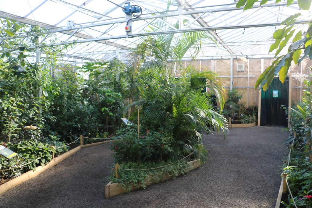 Large plant beds on either side of a room with a glass ceiling. There is also a plant bed containing trees in the centre.