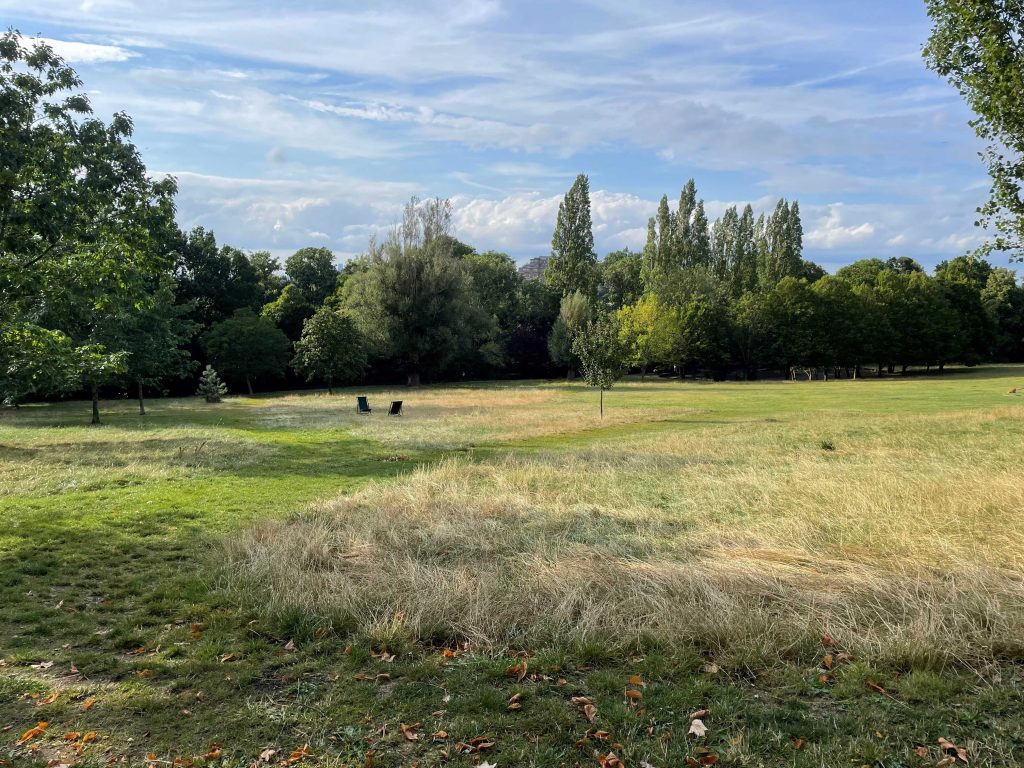Meadow field at the Horniman with deckchairs dotted around